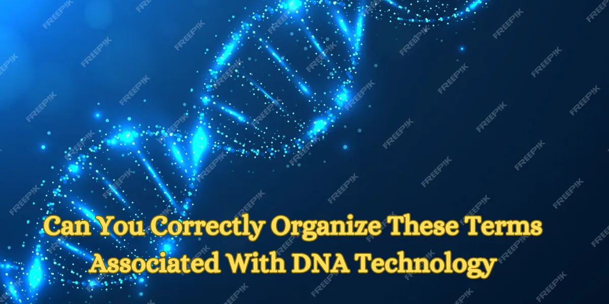 Can You Correctly Organize These Terms Associated With DNA Technology
