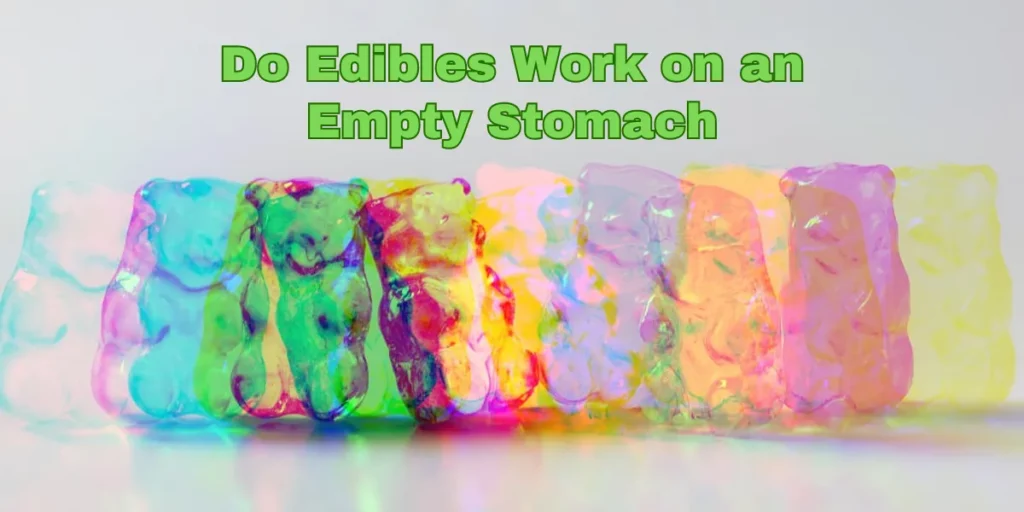 Do Edibles Work on an Empty Stomach