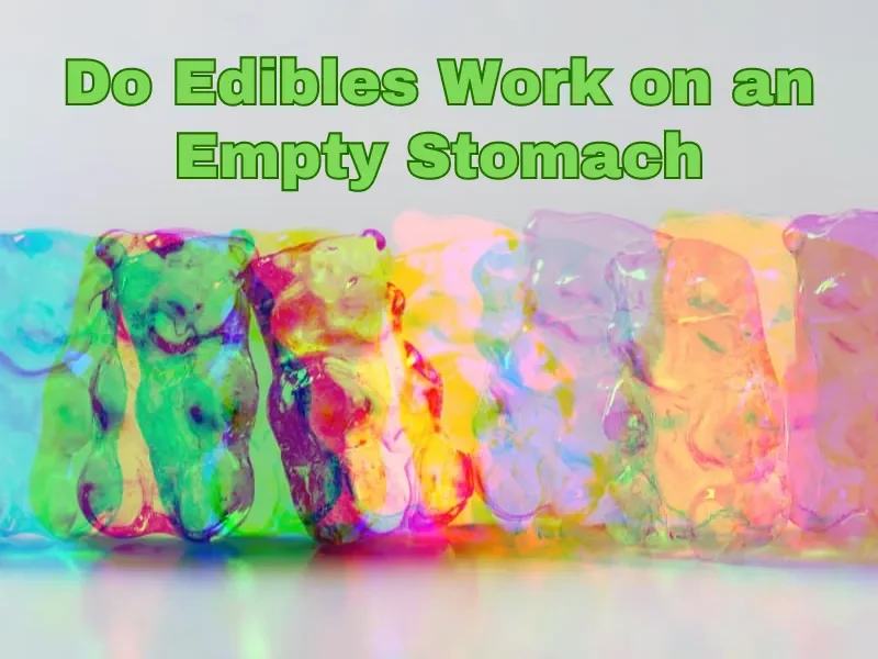Do Edibles Work on an Empty Stomach
