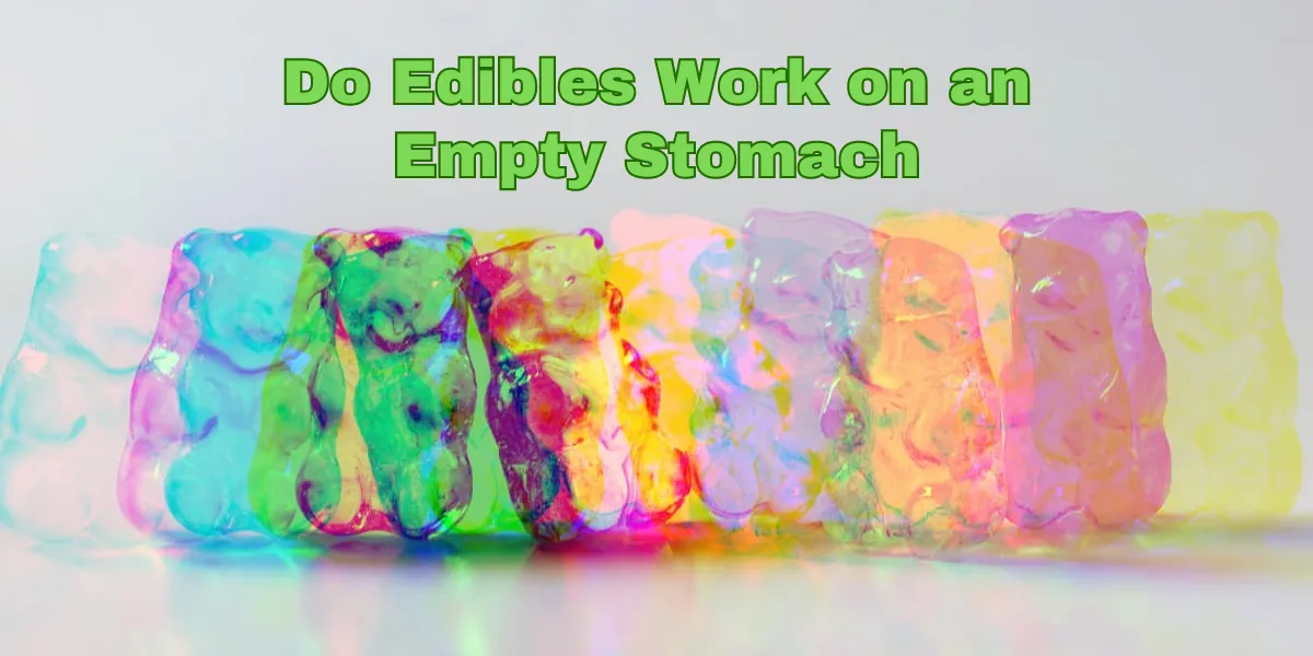 Do Edibles Work on an Empty Stomach