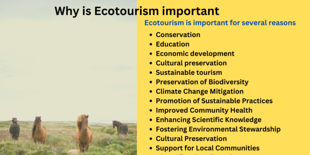 Why Eco Tourism Is Important