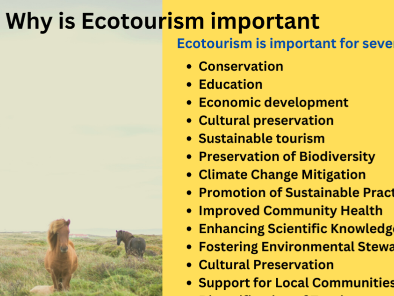 Why Eco Tourism Is Important